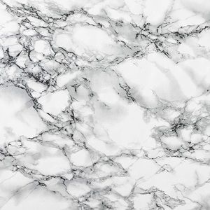 Meet your Posher, Jessee